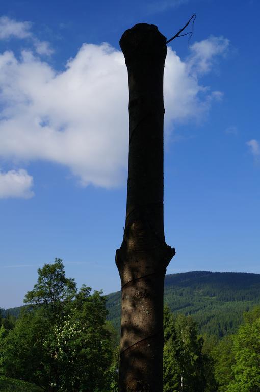 Chata Jawa Hotel Strážné Esterno foto